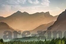 阿根廷的世界杯经历-阿根廷的世界杯之旅，激情与荣耀的交响曲