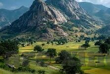 世界杯身价第一球队-世界杯身价第一球队，法国队的荣耀与挑战