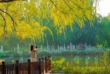 足球比分250-从足球比分250看足球数据革命，当数字游戏颠覆传统认知